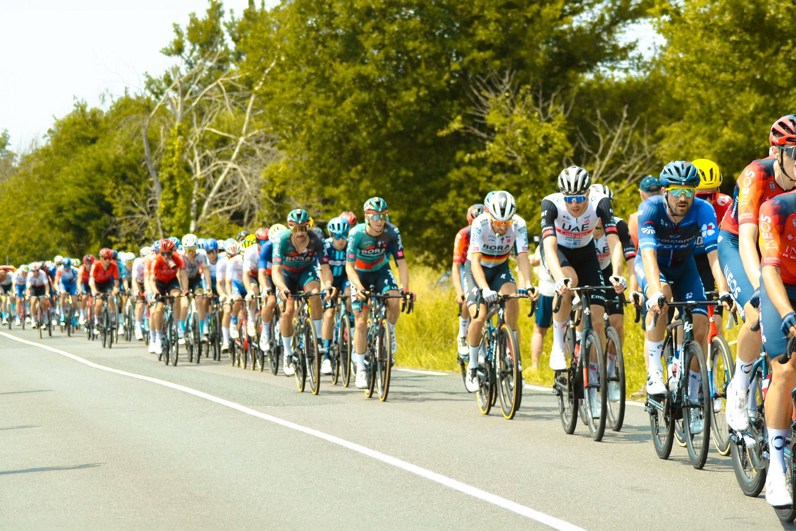 Pelotón de ciclistas en carretera